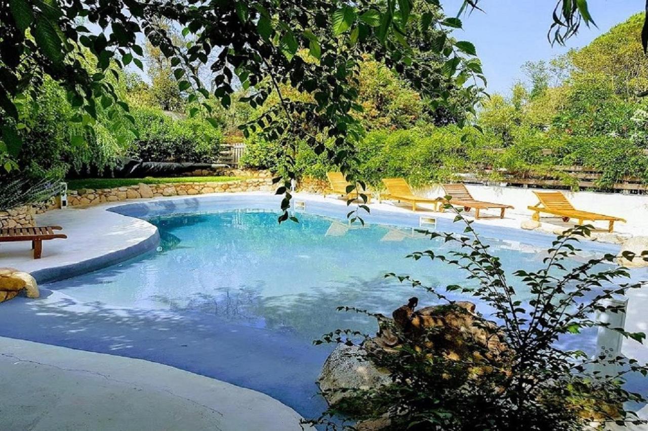 Salvacintoggio -Votre Villa Avec Piscine Privee- Porto-Vecchio  Luaran gambar